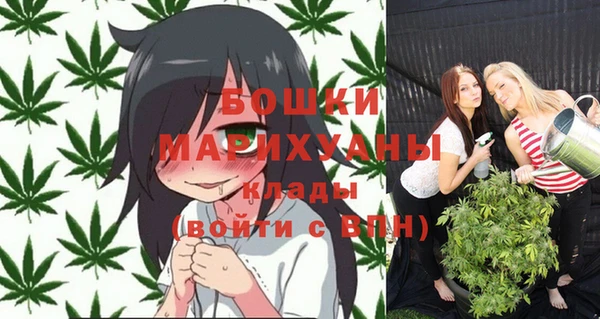 круглые Гусев