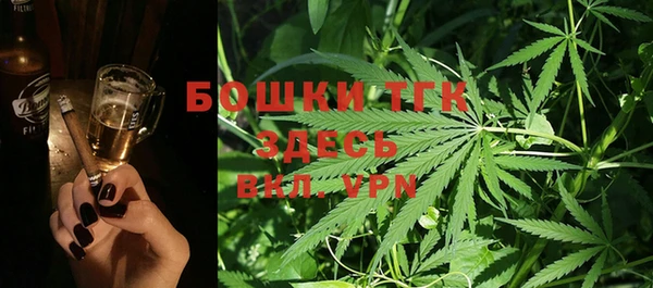 винт Гусиноозёрск
