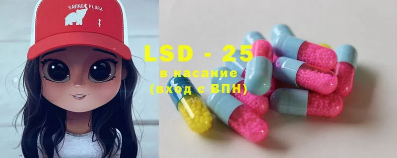 KRAKEN сайт  Жердевка  LSD-25 экстази кислота  наркотики 