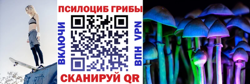 Псилоцибиновые грибы Cubensis  Жердевка 